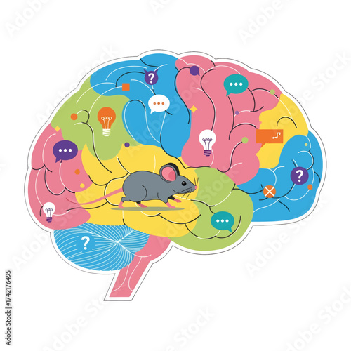 Brain illustration with a mouse, representing cognitive processes and functions.