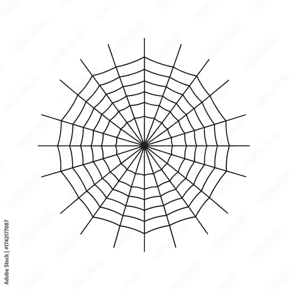 Obraz premium Spider web illustration, intricate radial design, perfect for Halloween decorations.