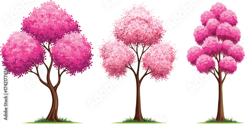 Pink flowering trees illustration, spring blossom artwork, botanical design, decorative floral nature, artistic tree drawing, seasonal landscape, blooming garden inspiration, digital art