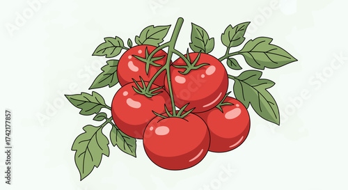 Fresh red tomatoes on a vine with green leaves illustration, a close-up view showcasing ripe produce