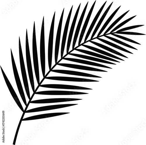 A single black palm frond leaf depicted in a striking silhouette against a clean white background