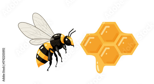 Cartoon Honeybee with Honeycomb Illustration on White Background.