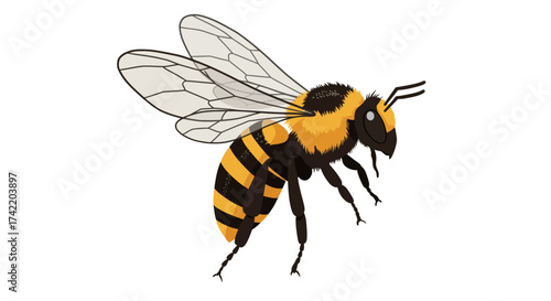 Cartoon Honeybee with Yellow and Black Stripes.