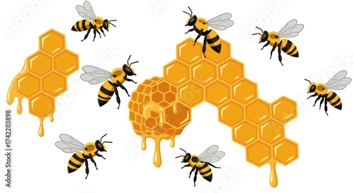 Cartoon Bees and Honeycomb Illustration with Dripping Honey.