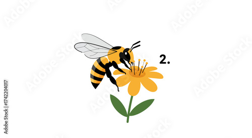Cartoon Honey Bee Pollinating a Yellow Flower Illustration.
