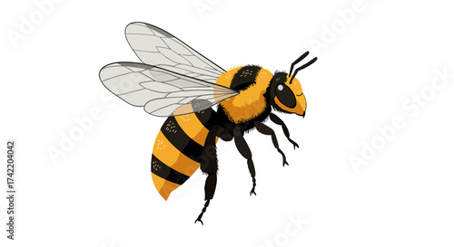 Cartoon Honeybee with Striped Abdomen and Transparent Wings.