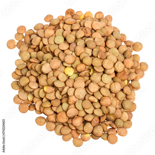 Pile of dried brown lentils on a transparent background. 