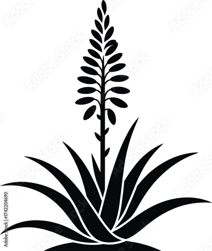 Black silhouette of a blooming aloe vera plant with a tall flower stalk and spiky leaves
