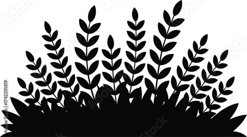 Black silhouette of tall grass and leafy plants growing in a field at dawn or dusk silhouette