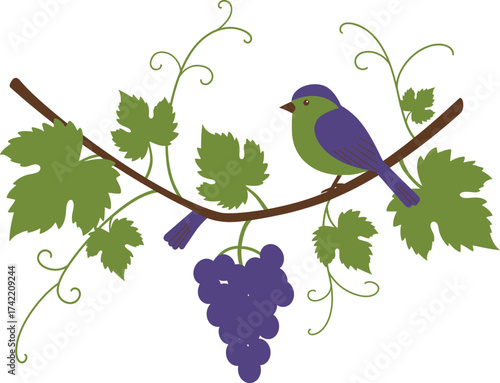 Charming bird perched on grapevine branch with ripe purple grapes and green leaves isolated on transparent background