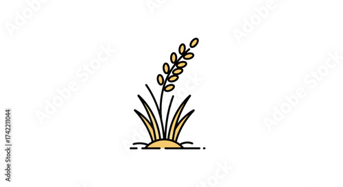 Simple illustration of a single rice or wheat plant with grains.