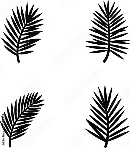 Four stylized black palm frond silhouettes on a white background with subtle texture silhouette