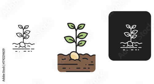 Plant growth from seed icon representing new life and agricultural development.