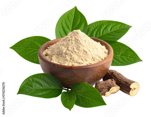 Shatavari isolated on transparent background for Herbal Supplements and Ayurveda Marketing
