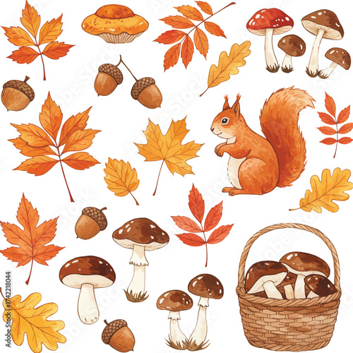 Cute squirrel and autumn elements collection featuring leaves mushrooms and acorns