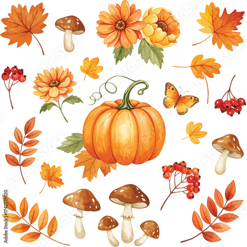 Autumn harvest elements pumpkin flowers leaves mushrooms and berries clipart