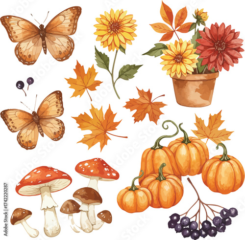 Autumn harvest collection butterflies pumpkins leaves mushrooms flowers berries