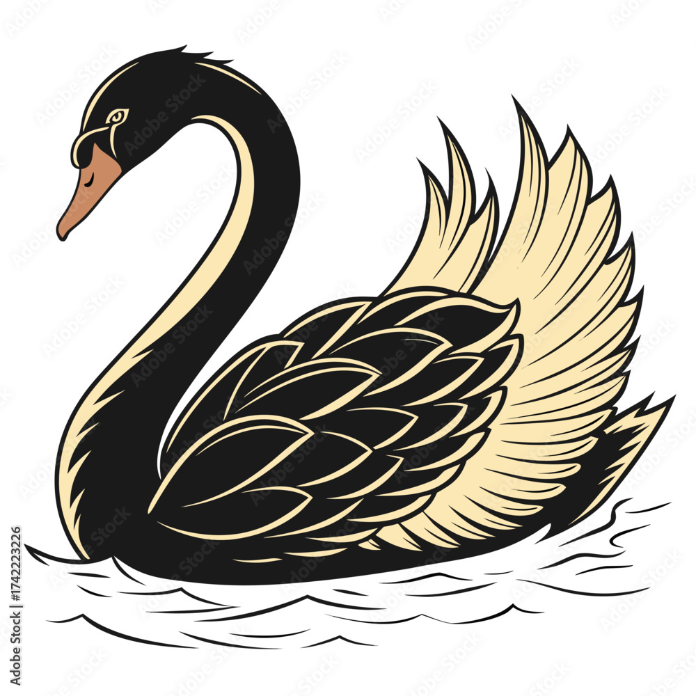 Fototapeta premium Vector art of elegant black swan gracefully gliding on water, its dark plumage contrasting with the soft, creamcolored feathers, creating a captivating image of serenity and beauty