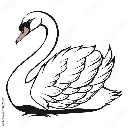 Vector art of elegant illustration of a swan with graceful curves and detailed feathers, the artwork captures the beauty and serenity of this majestic bird in a minimalist style