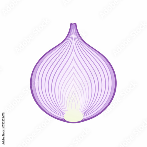 Fresh Red Onion Half Slice Isolated on White Background Food Ingredient Vector Illustration