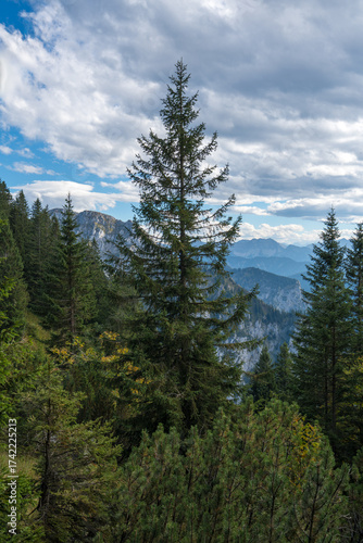 DAs Alpenvorland von Oben