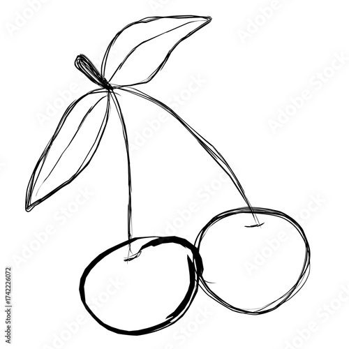 cherry vector illustration sketch