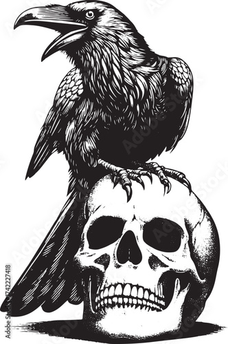 Striking raven perched atop a detailed human skull, exuding gothic mystery and dark symbolism for impactful design.
