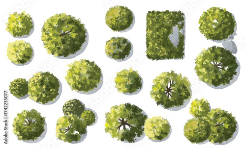 Vector set of Top view green tree for outdoor plan or map and architecture drawing, elements for environment and garden ,botanical elements ,Blooming flowers in spring,tropical plants element