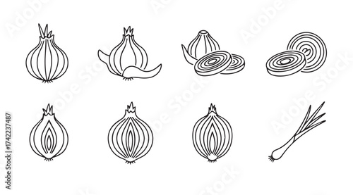 Collection of hand drawn onion and garlic vegetable icons for culinary design and food graphics vector