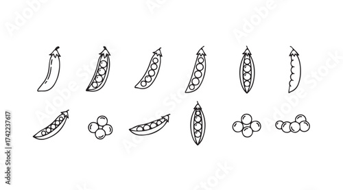 Collection of hand drawn pea pods with peas scattered and in pods sketch style vector