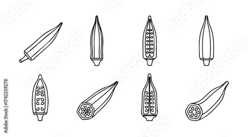 Hand drawn okra pods and slices collection artistic sketch food ingredient ingredient vector