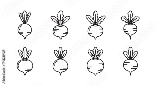 Hand drawn sketch collection of radishes with green tops isolated fresh root vegetables vector