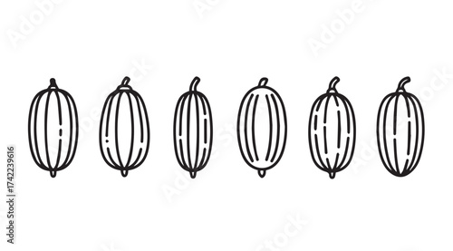 Hand drawn sketch of six stylized watermelons in a row vector