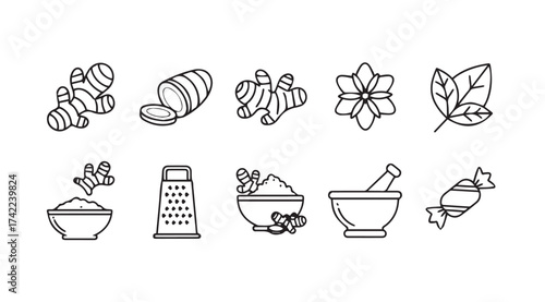 Culinary ingredients icons ginger spices herbs and kitchen tools for healthy cooking vector