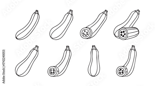 Collection of hand drawn zucchini vegetables various angles and halved views simple sketch style vector