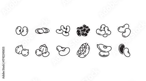 Collection of hand drawn bean icons representing diverse legume varieties and nutritious food elements vector