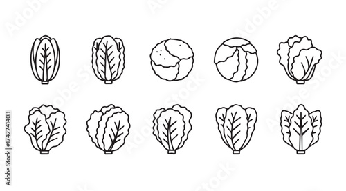 Hand drawn collection of diverse leafy green vegetable icons and symbols for healthy eating designs vector