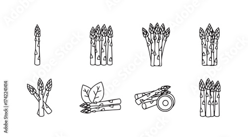 Hand drawn asparagus stalks and bunches minimalist sketch art for healthy food concepts vector