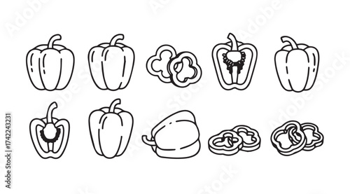 Collection of hand drawn bell peppers fresh vegetables in various stages of slicing and whole vector
