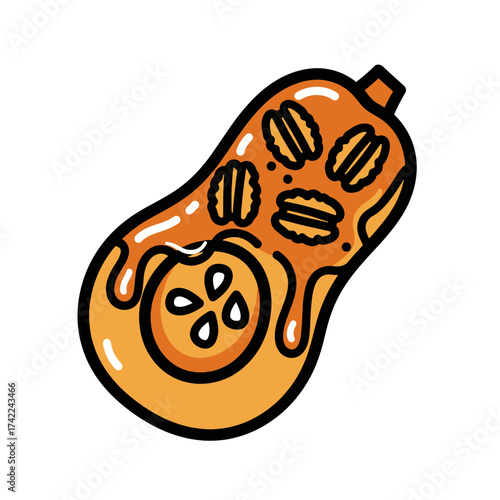 Butternut squash cut open with seeds and pulp orange color black outline.