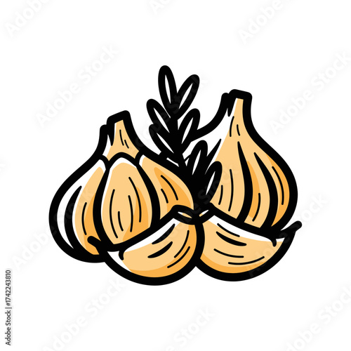 Fresh garlic bulbs and cloves illustration healthy food concept isolated on white background.
