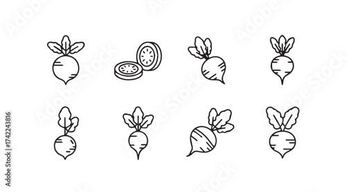 Set of hand drawn beetroot vegetables with green leaves for healthy food and nutrition concepts vector