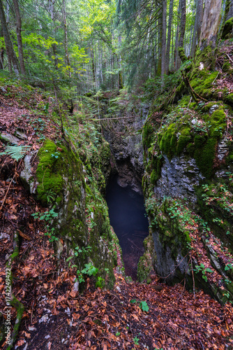 Mossy chasm into dark cave