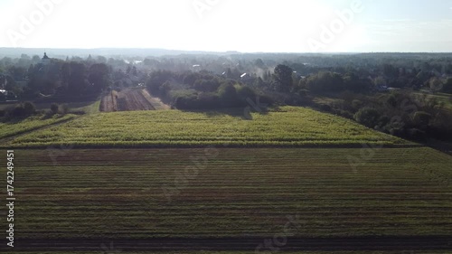 Foggy Morning Over Farmland and a Small Polish Village