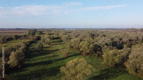 Aerial View of Vast Forest in Poland During Autumn