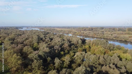Aerial View of Vast Forest in Poland During Autumn