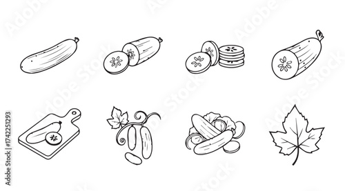 Collection of hand-drawn cucumber elements and salad ingredients in sketch style vector