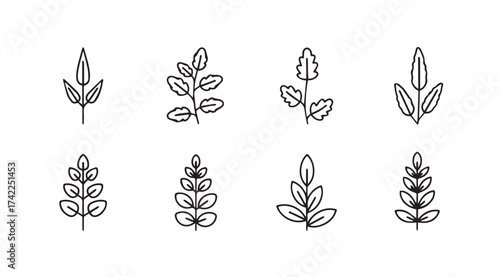 Collection of delicate hand drawn botanical elements featuring green leaves and twigs vector