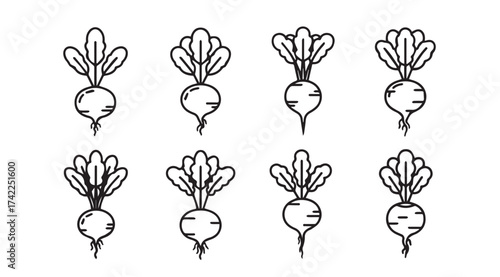Hand drawn collection of fresh beets with green leaves isolated on artistic sketch vector