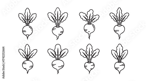 Set of hand drawn beets with green tops isolated on garden vegetables fresh produce vector